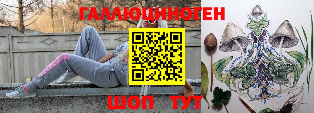 Ликино-Дулёво  продажа наркотиков  Вход с VPN  Псилоцибиновые грибы GOLDEN TEACHER 